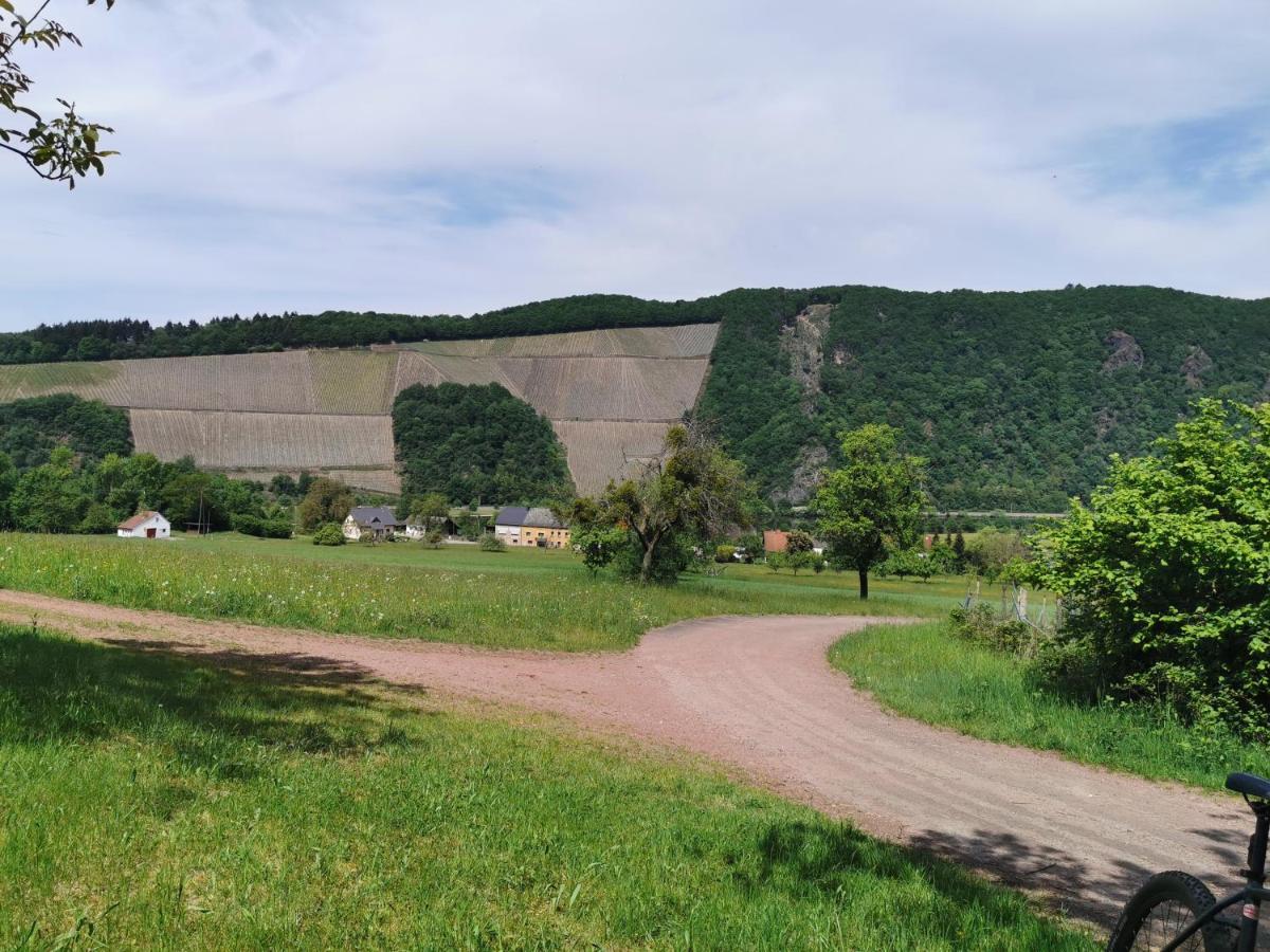 Gemuetliche 90 Qm Wohnung In Saarburg, Zentral Gelegen, Garten Mit Aussicht, Separater Eingang Kültér fotó